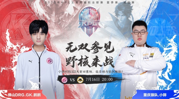 角马和斑马 角马和斑马